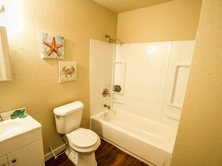 932 Poinsettia — Photo 7