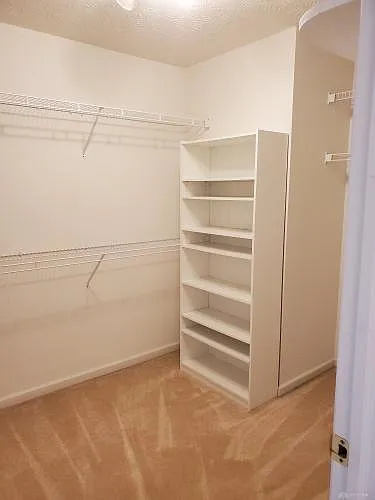 2294 Hazelnut Dr — Photo 28