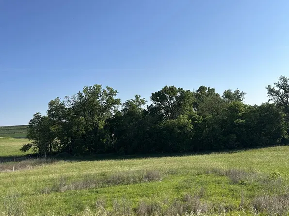 52941 Dew Berry Ln, Silver City, IA 51571