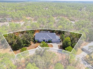 16 Drypetes Ct E, Homosassa, FL 34446