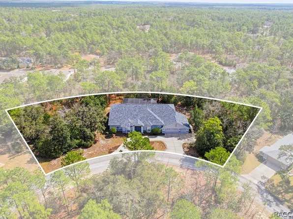 16 Drypetes Ct E, Homosassa, FL 34446