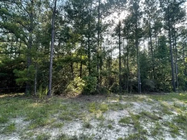 24 Revolutionary Rd, Townsend, GA 31331