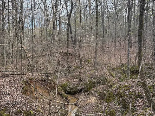 Highway 9, Blue Springs, MS 38828