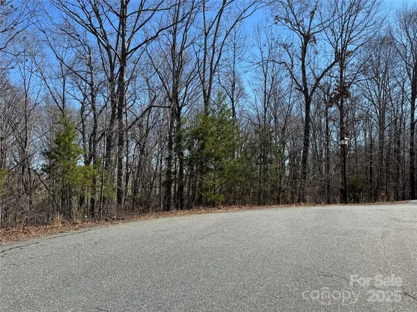 0 Shady Bark Ln, Rutherfordton, NC 28139