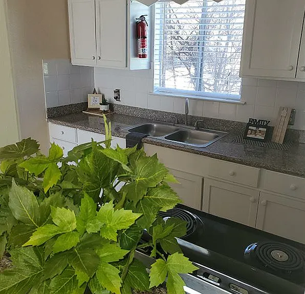 Strawberry Flats Apartments — Photo 2