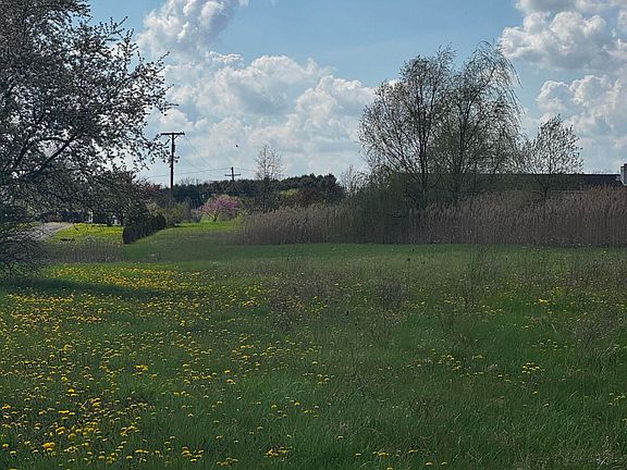 5th image of 9871 Crane Rd