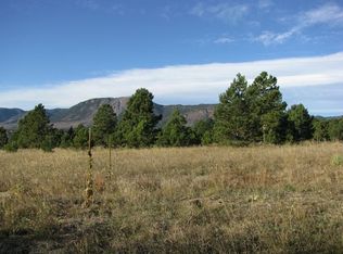 19480 Draco Dr, Monument, CO 80132