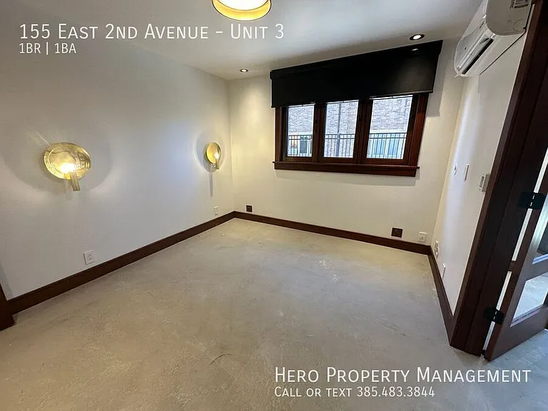 155 E 2nd Ave #3 — Photo 8