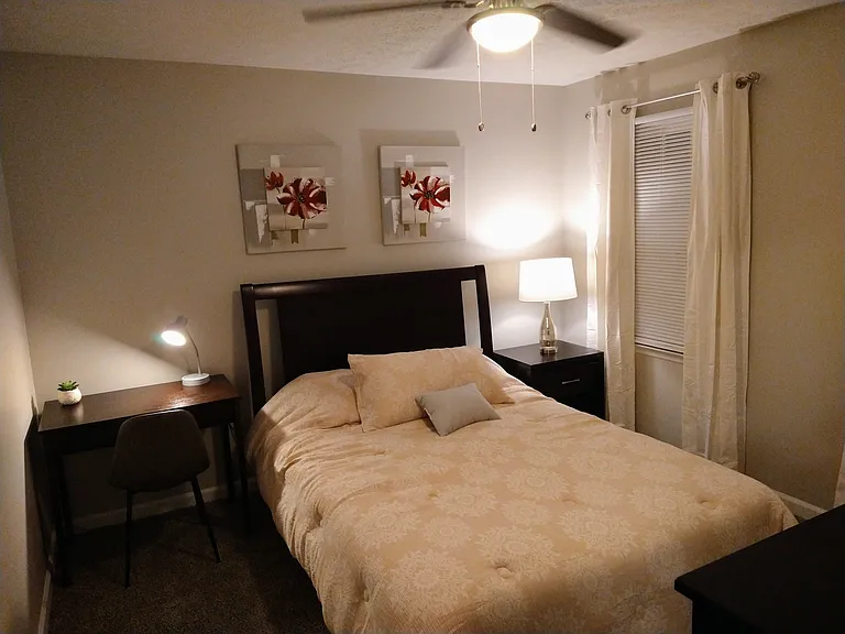 4376 Rebel Ct — Photo 21