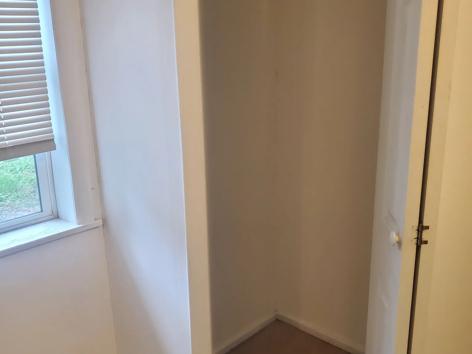 2 bed, 525 sqft, $1,450 — Photo 4