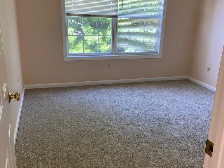 156 Palomino Pass — Photo 15