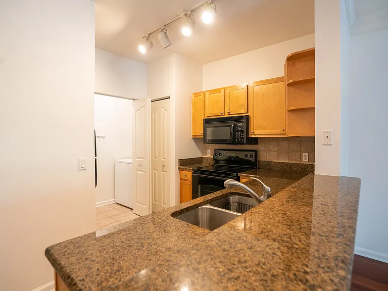 4207 S Dale Mabry Hwy #1204 — Photo 7