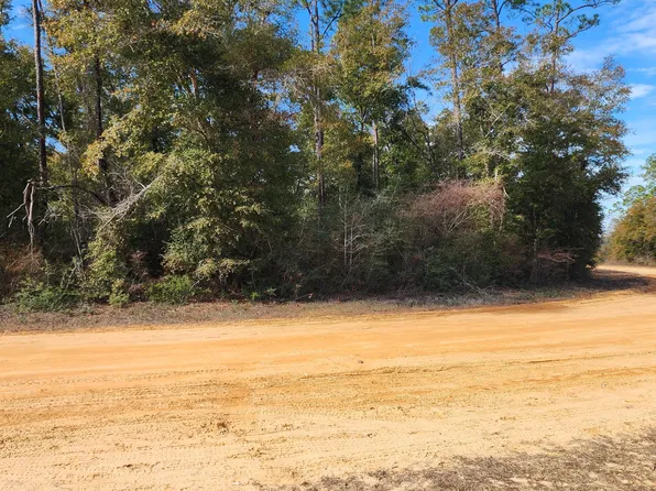 0 Breese Ct Lot 29, Alford, FL 32420