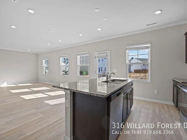 316 Willard Forest Dr — Photo 27