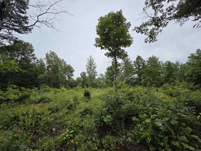 0 Highway 254 E, Dennard, AR, 72629