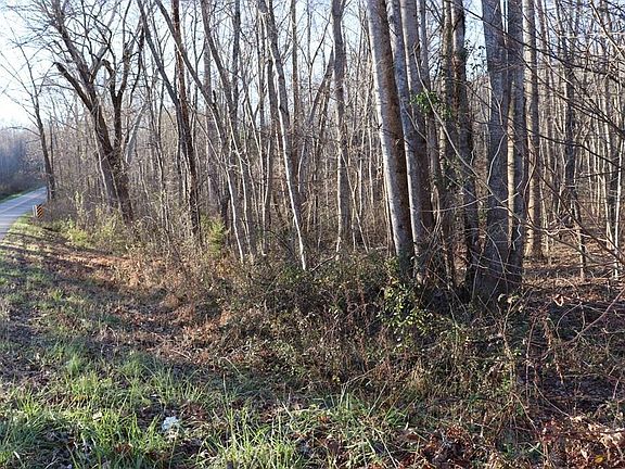 2nd image of 506 Holly Tree Dr Lot 1&26