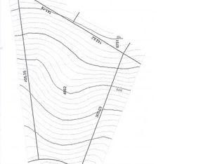 66 Haw Tree Ct, Weaverville, NC 28787