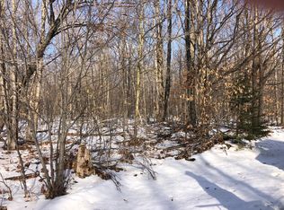 Long Lake Rd, Cheboygan, MI 49721