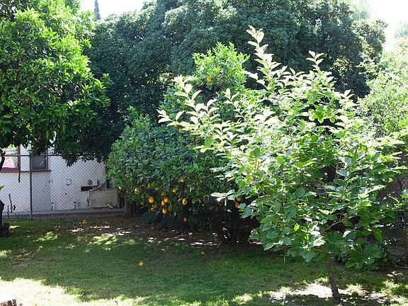 4th image of 3918 W Chandler Blvd