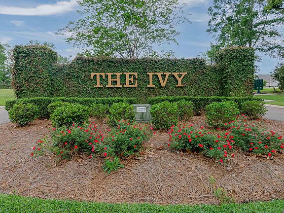 2nd image of 1108 Irish Ivy