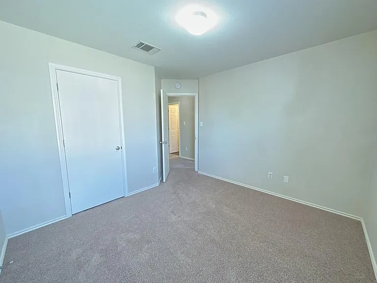 1000 Bluff Meadow Cv — Photo 17