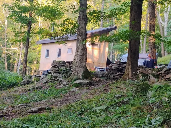 1373 Rocky Rd, Harman, WV 26270