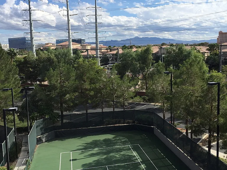 220 E Flamingo Rd #422 — Photo 25
