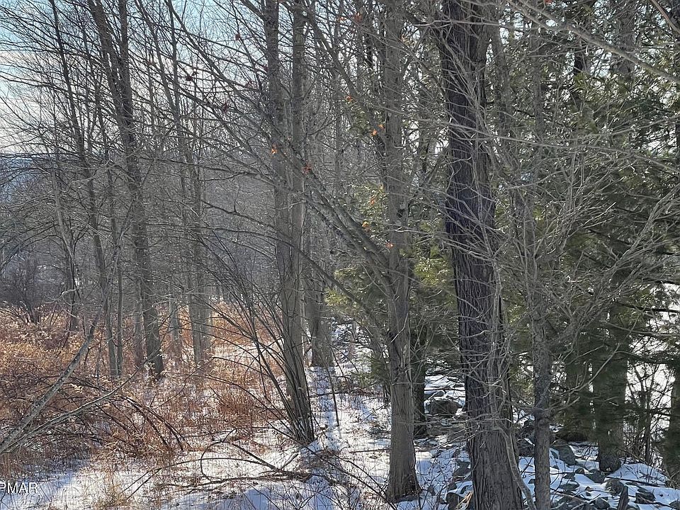 2nd image of Miller Rd