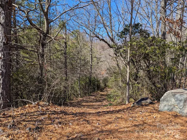 94 Trillium Ln #C2, Black Mountain, NC 28711