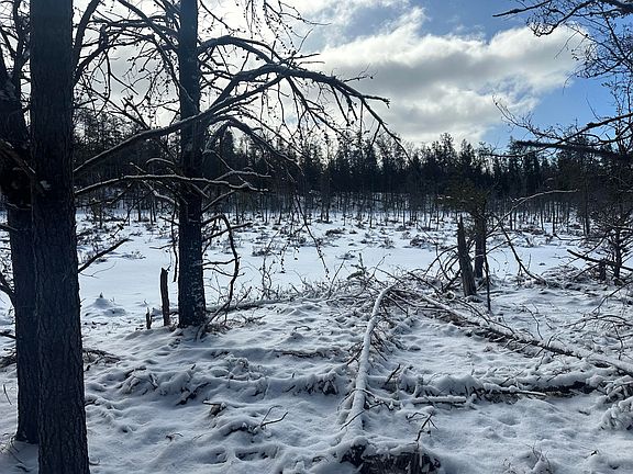 3rd image of 7251 S Clay Banks Rd