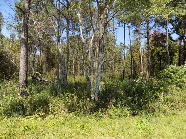 5 Macon County Rd #24, Auburn, AL 36830