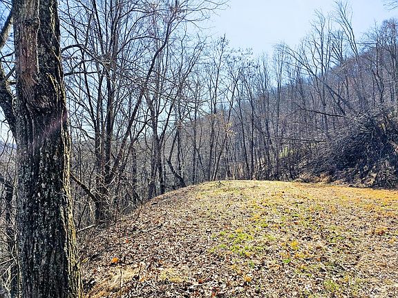 2nd image of 39 Merlin Trail Warbler Rd