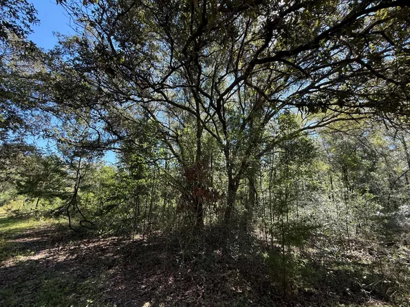 0 NE 6 Lane, Williston, FL 32696