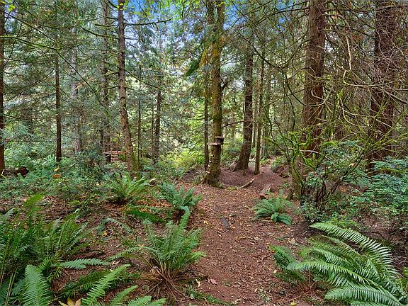 1.19 beautiful acres