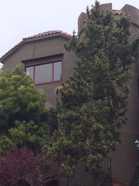 1st image of 40 Dorantes Ave