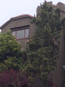 40 Dorantes Ave, San Francisco, CA, 94116