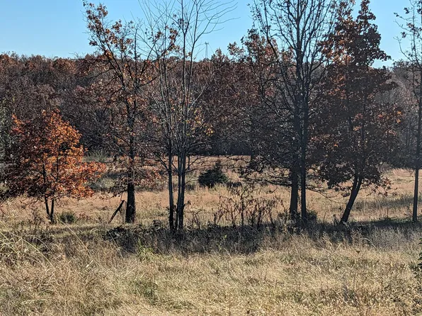 1748 State Hwy O, Seymour, MO 65746