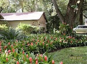 3rd image of 4617 Gatlin Oaks Ln