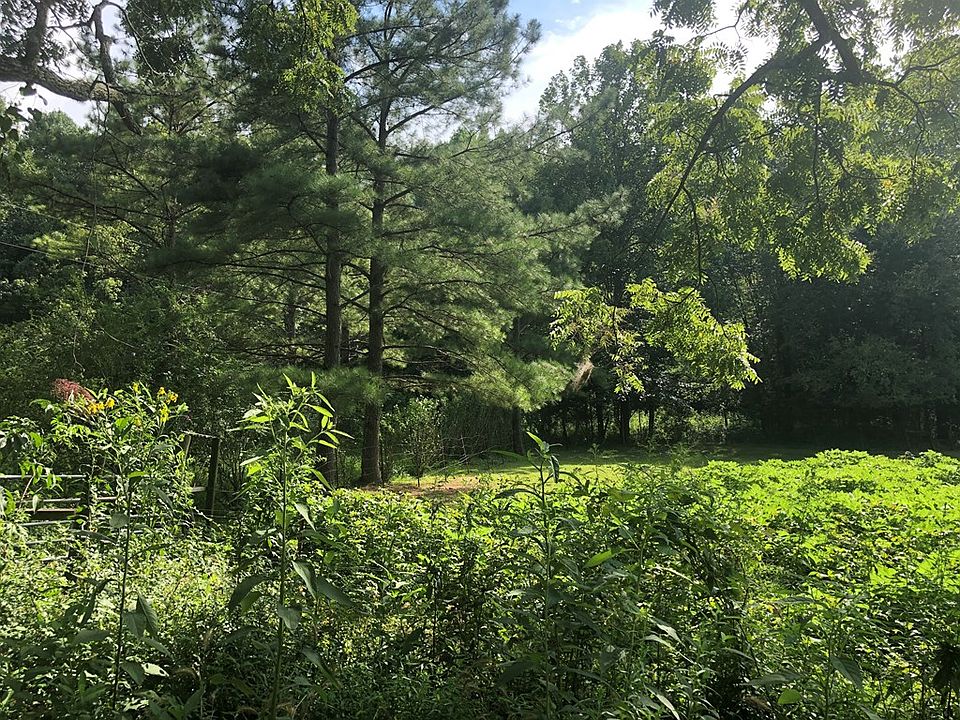 2nd image of 244 Dunaway Ridge Rd
