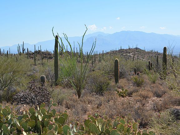 2nd image of 0 N Broken Springs Trl