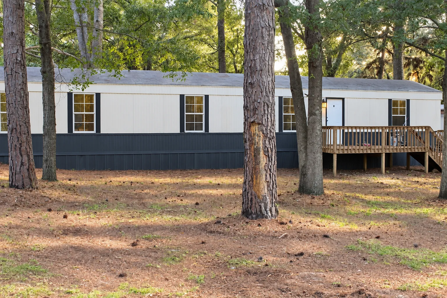 2 bed, 900 sqft, $1,100 — Photo 1
