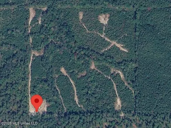 Forestry Rd #356, Beaumont, MS 39423