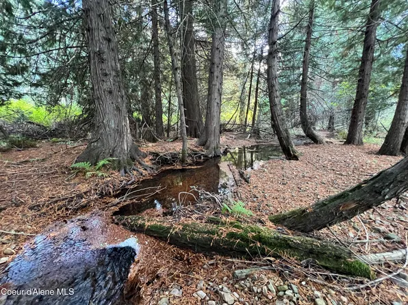 3579 Bear Creek Rd, Kingston, ID 83839