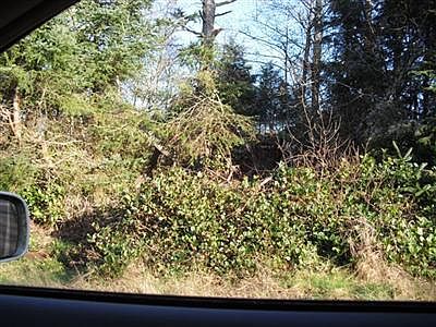 1st image of 334 Duck Lake Dr SE