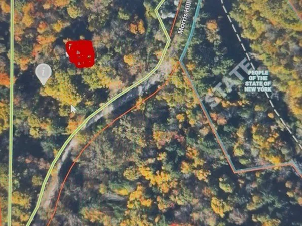 Morris Hill Rd #10, Millport, NY 14864