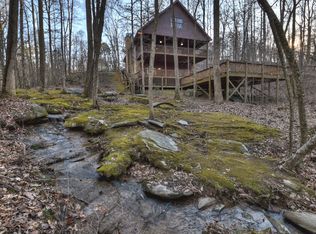 469 Toccoa Preserve Ln, Blue Ridge, GA 30513