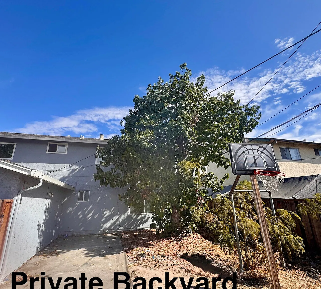1419 Karl St — Photo 4