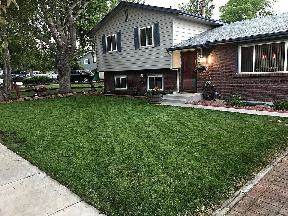 Beautifully Manicured  Lawn