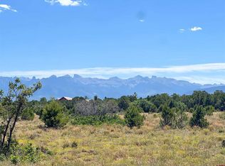 17 Meadow Ln, Ridgway, CO 81432