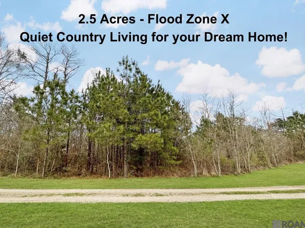Dallie Ln, Denham Springs, LA 70726